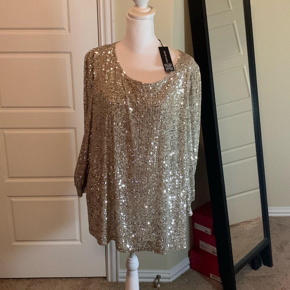 Cable and Gauge sparkle top 2X